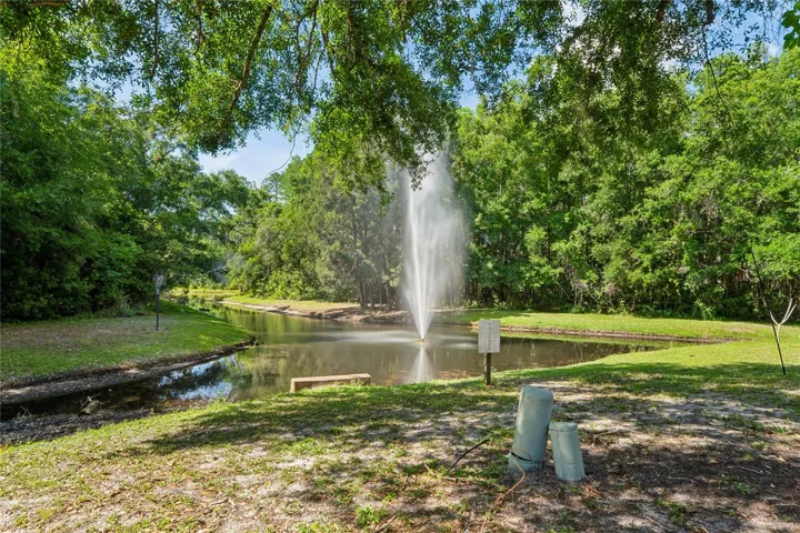 Pond view with fountain