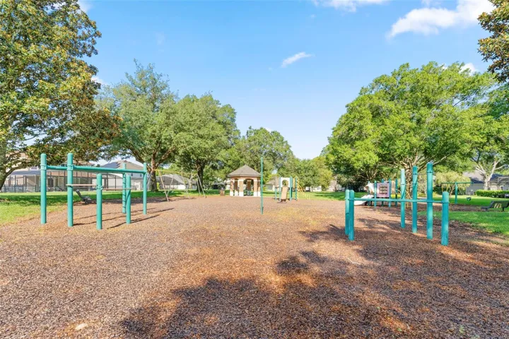 Backs to the Community Playground