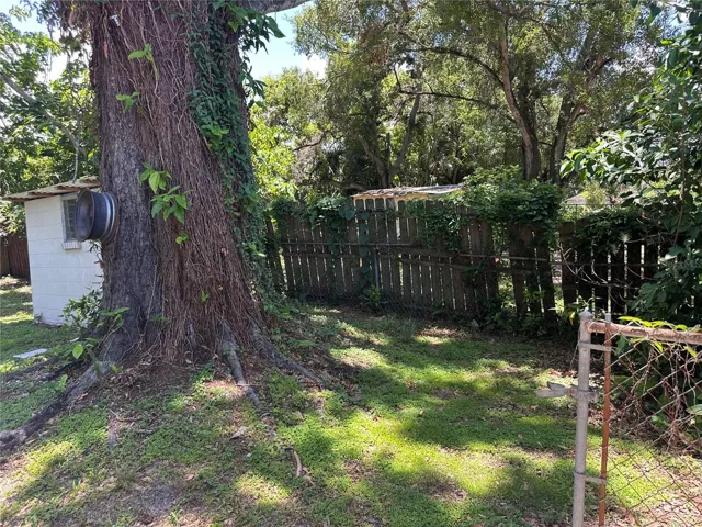 Back garden patio