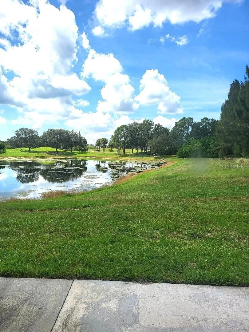 pond view
