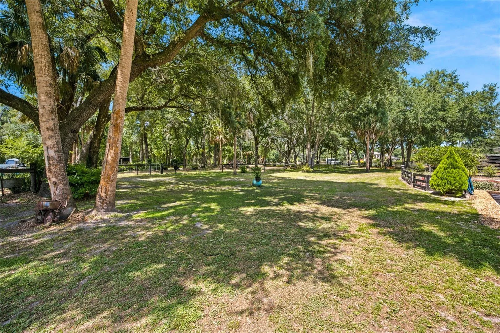 Side yard
