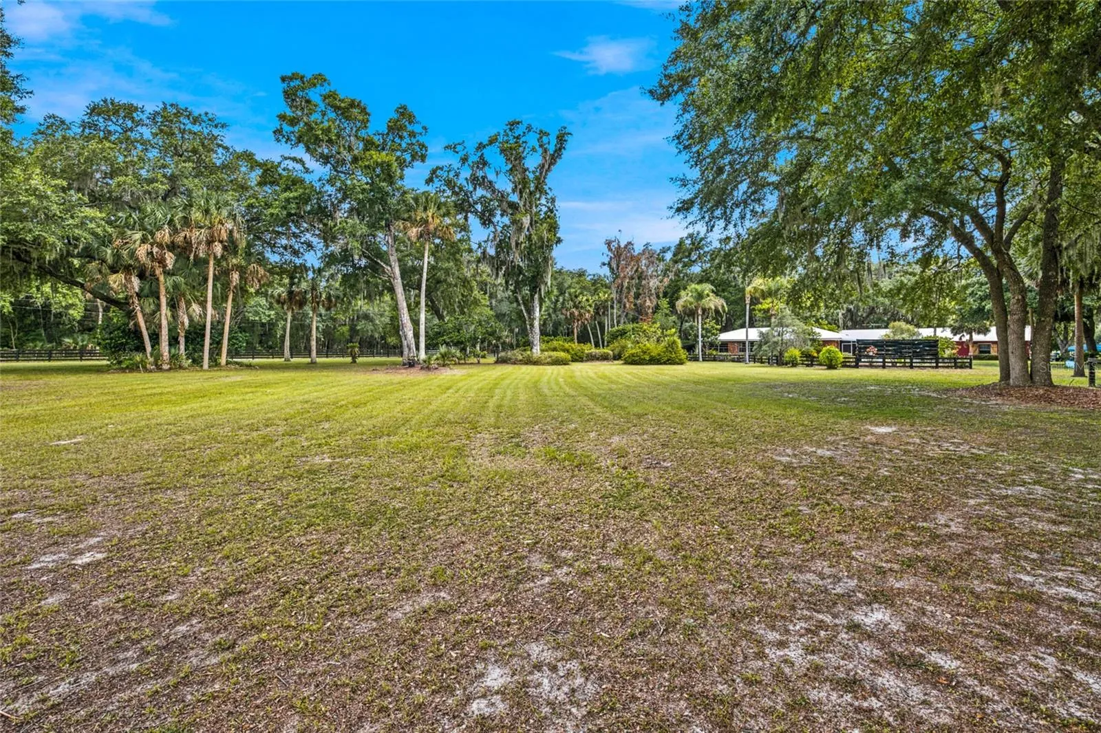 Front/side yard