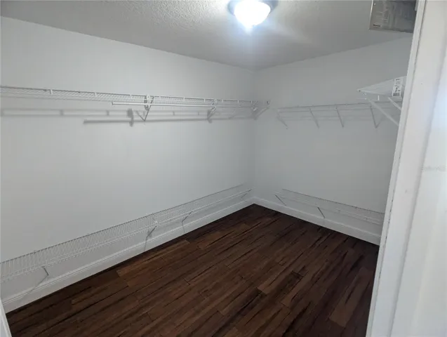 Enormous Primary Closet