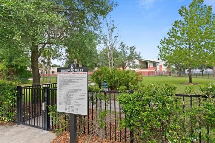 Dog Park