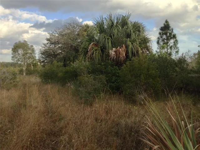 Photo from within 5 acres.