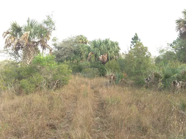 Photo from within 5 acres.
