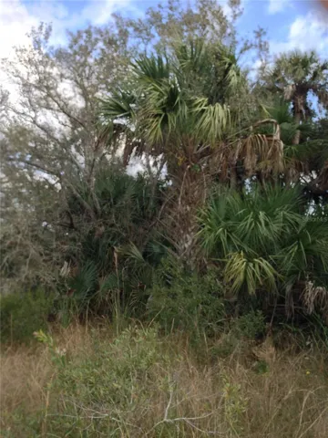 Photo taken on property.
