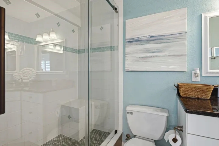 Ensuite shower