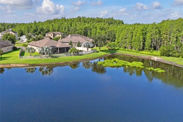 Large Fishing Pond Behind Pearl Crescent Ct.