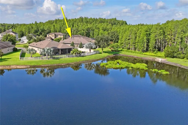 Pond View