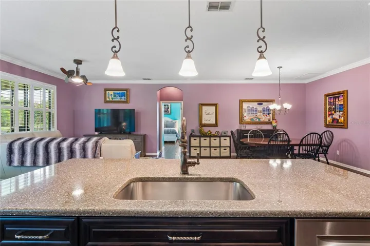 Open Floor Plan and Large Island with Custom Solid Counter Tops