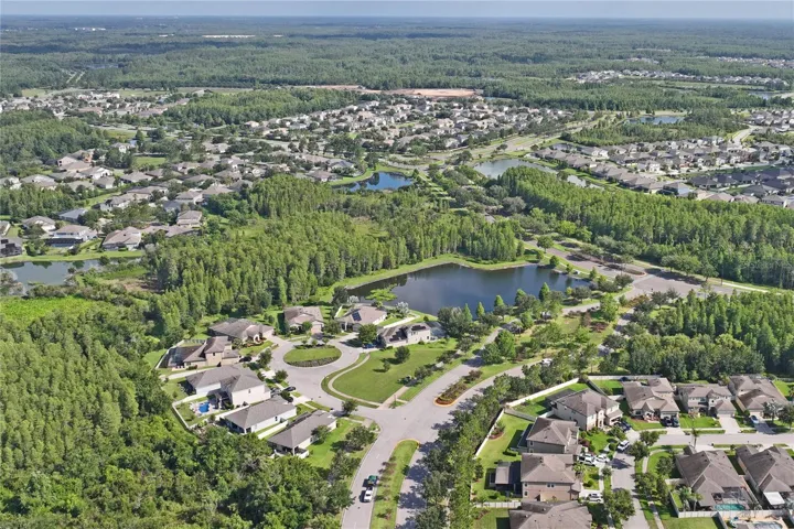 Aerial View of Pearl Crescent Ct. and Surrounding Sub Neighborhood in Connerton