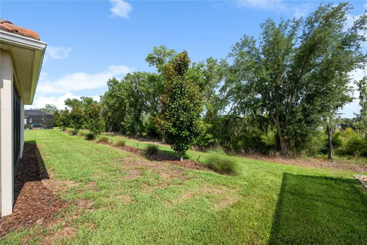 Backyard - no rear neighbors