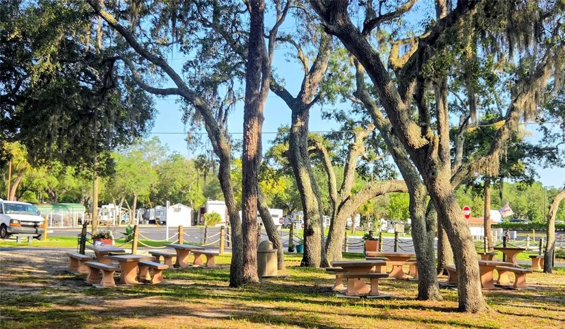 Community picnic tables