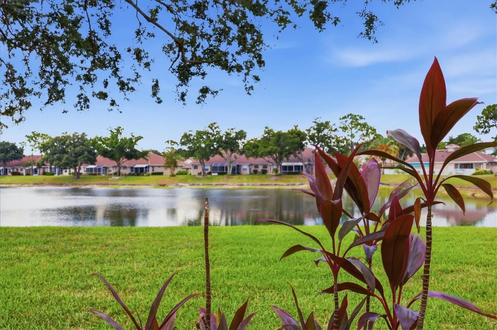 Back Yard View of Lake