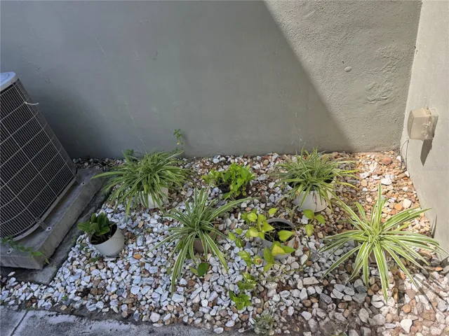 Green space on patio