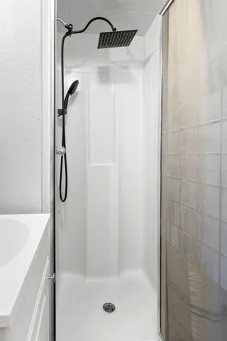 Master Bath Shower