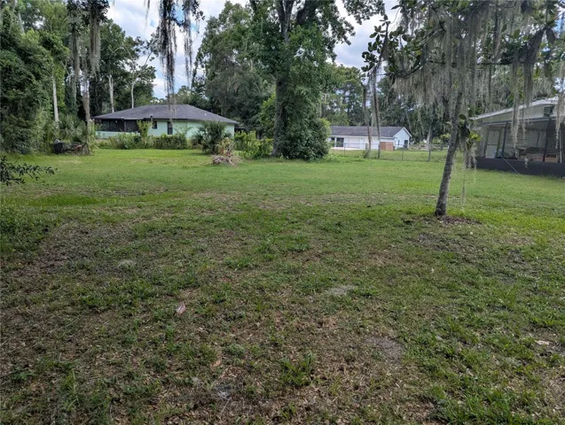 Back yard