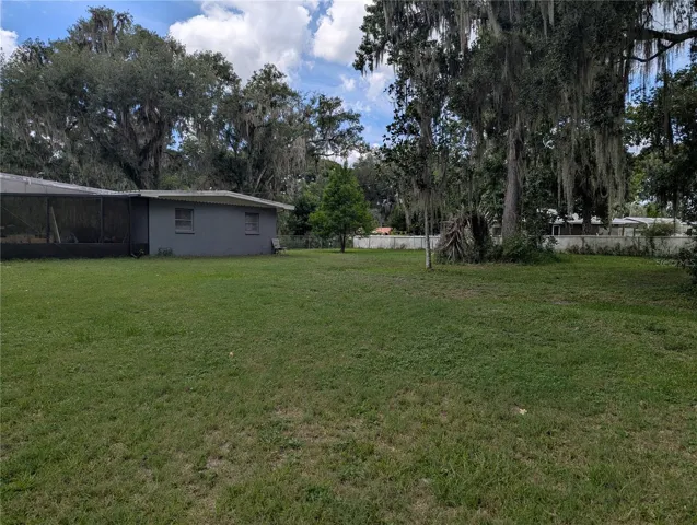 Back yard