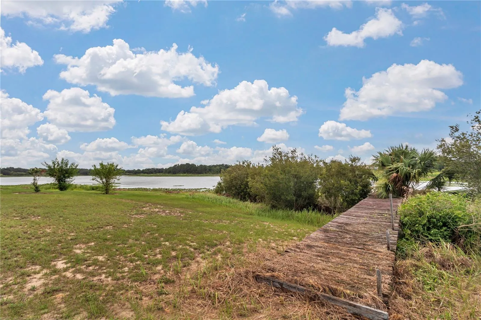 Dock and Lakeview