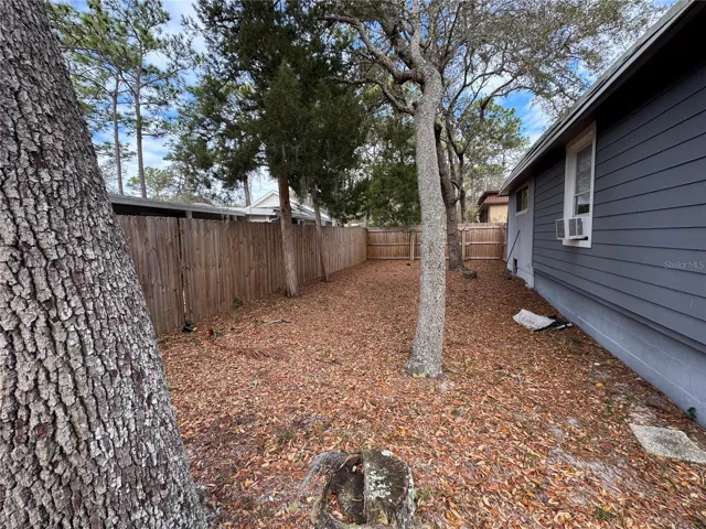 House Yard