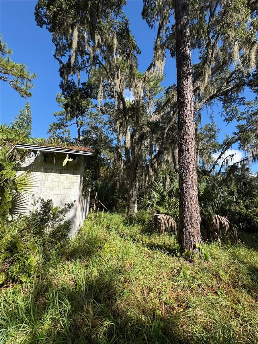 One Story Building on Property