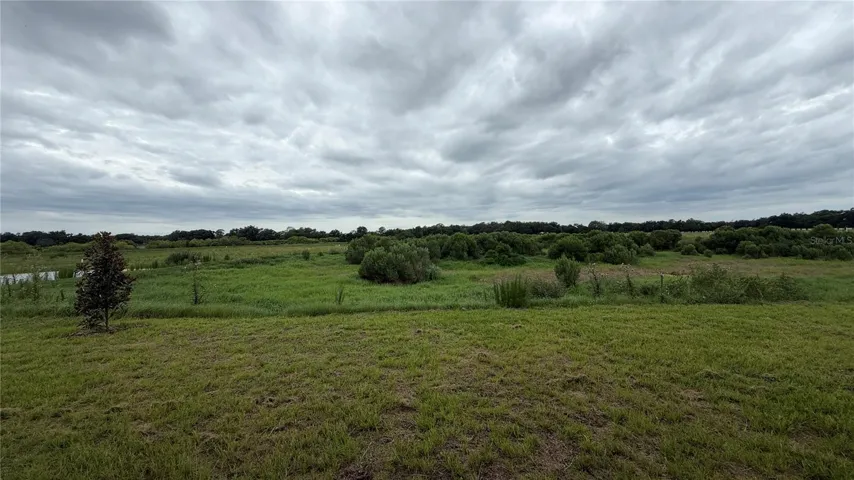 View from backyard/covered lanai