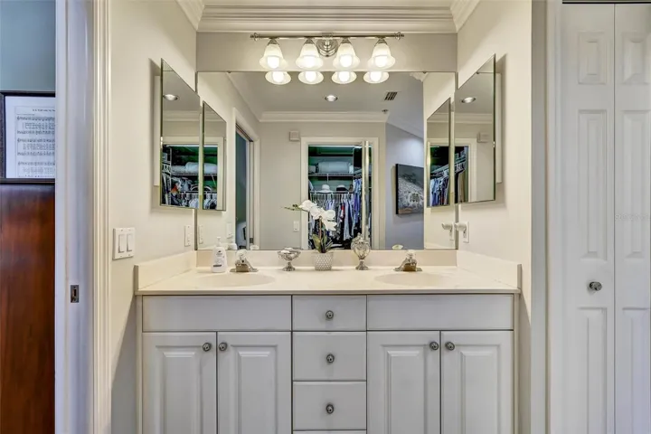 dual sinks