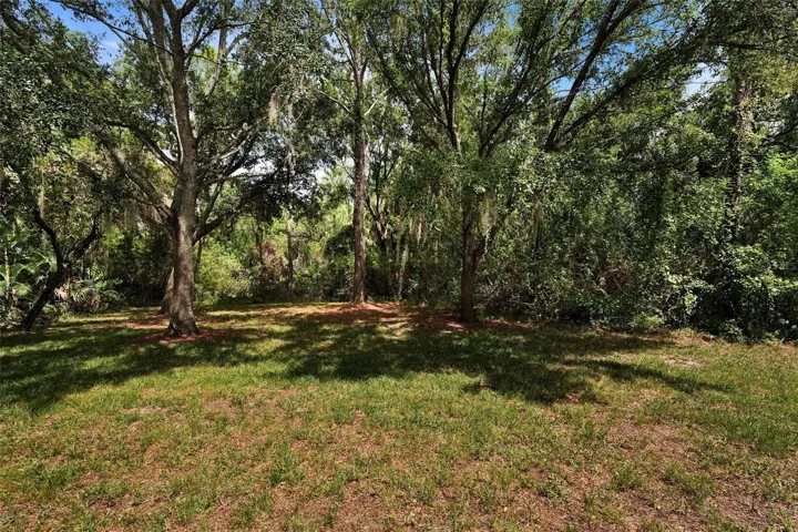 foliage