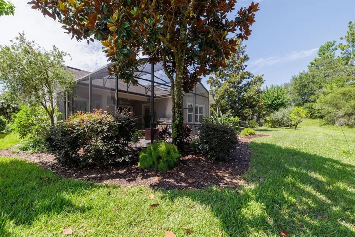 Rear back yard