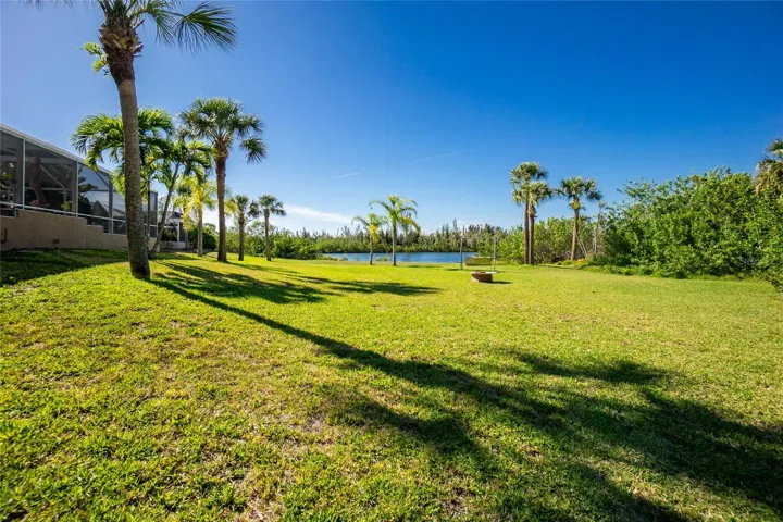 An expansive rear yard with firepit. You never know what you might see.