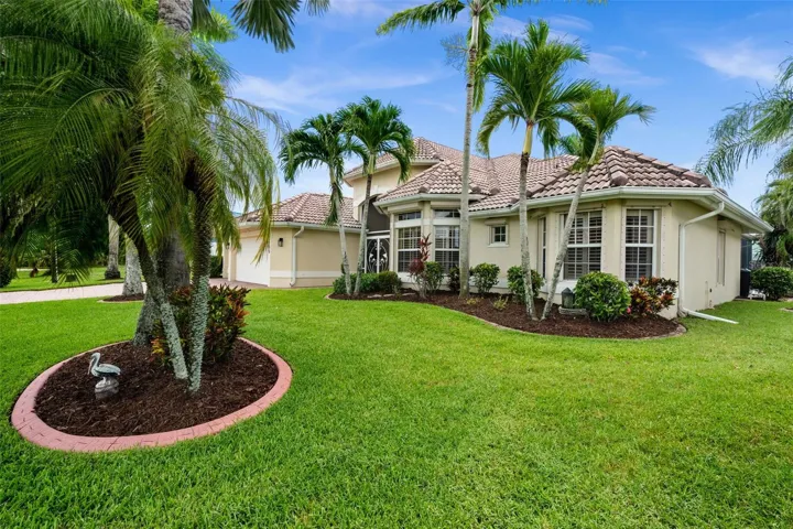 Mature tropical landscaping