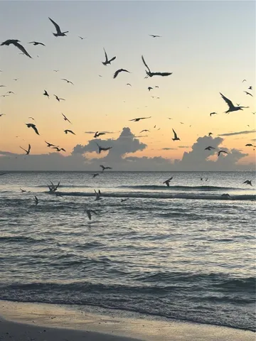 1170
