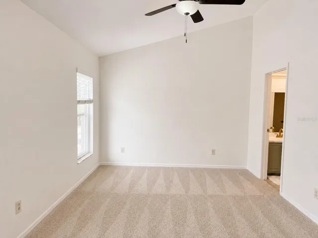 New carpet