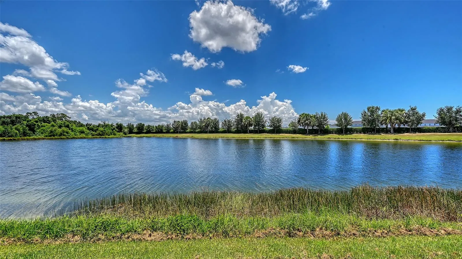 Gorgeous Lake