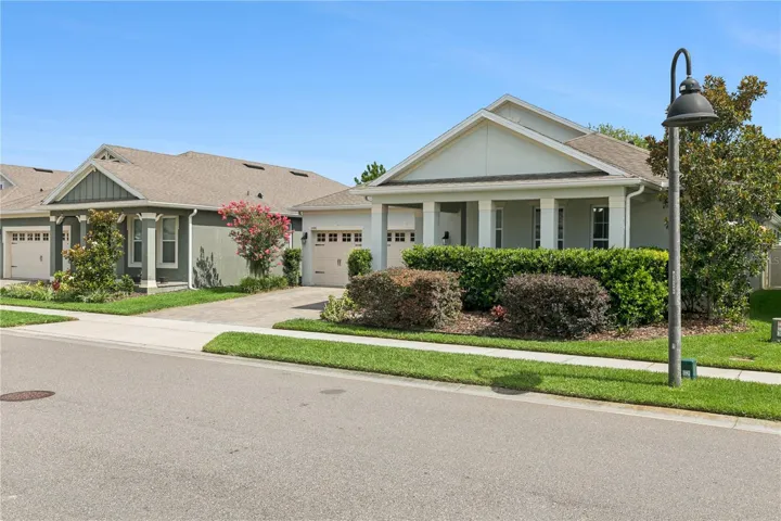 Great neighborhood!