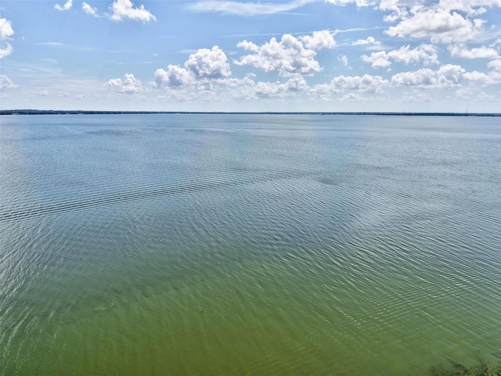 Harris Chain of Lakes
