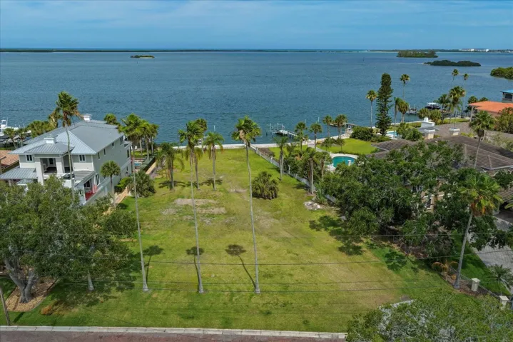 Soaring Washingtonian Palms will line your front entry.