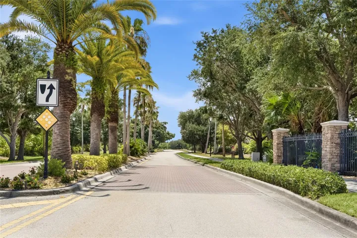 Palm tree lined street down to the entry of Rapalo Community