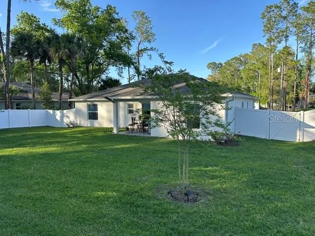 Back yard