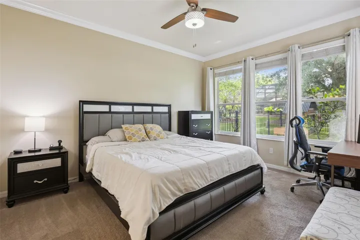 Primary Suite