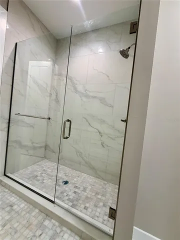 Primary Shower