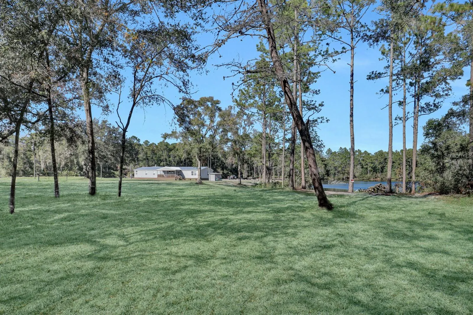 Grass is Virtually Staged