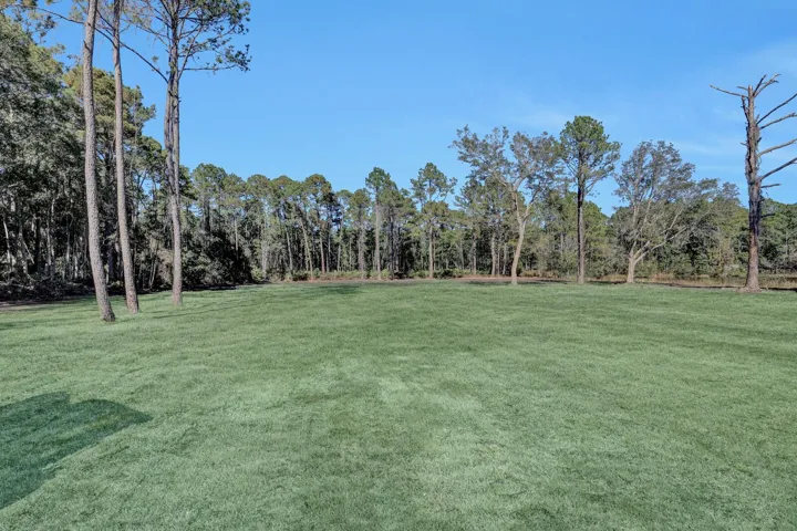 Grass is Virtually Staged