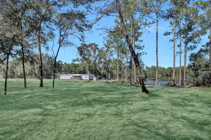 Grass is Virtually Staged