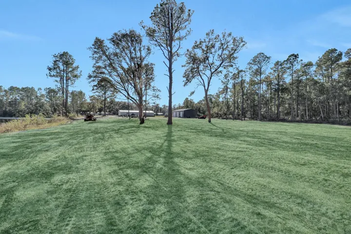 Grass is Virtually Staged