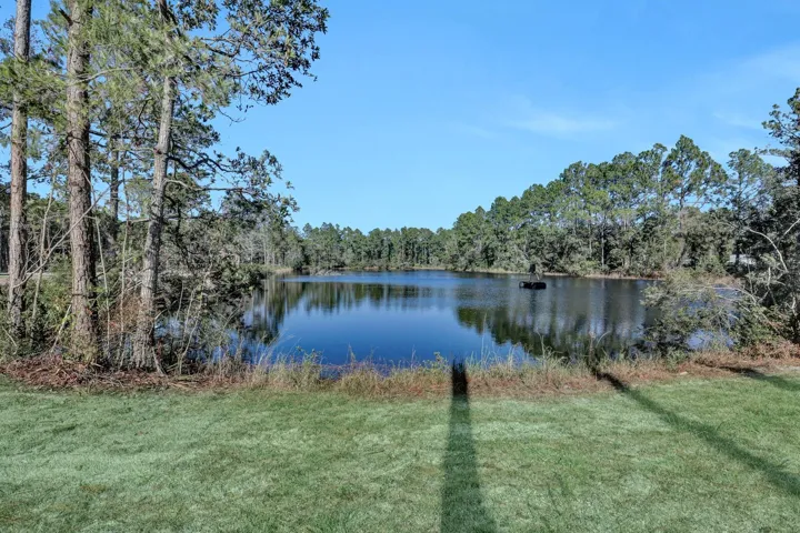Grass is Virtually Staged