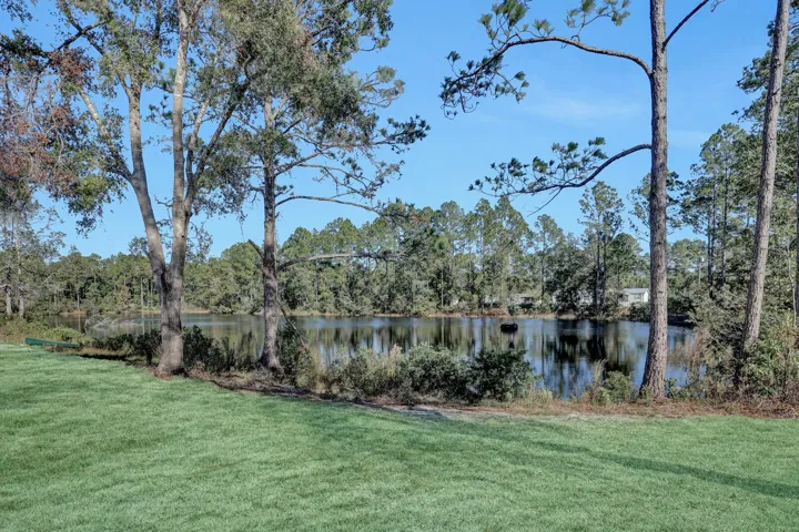 Grass is Virtually Staged