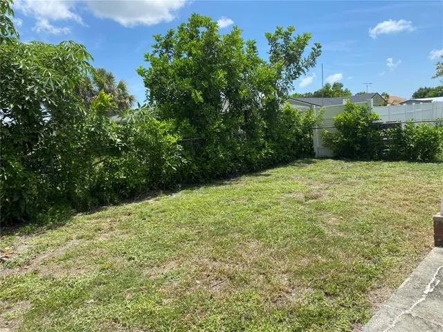 Backyard