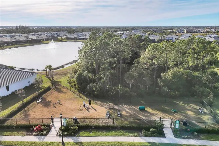 Dog Park